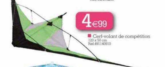 cerf-volant de compétition