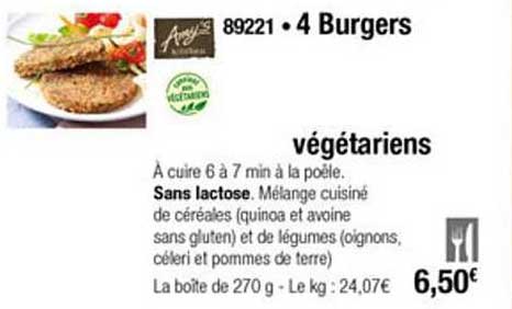 4 Burgers Végétariens