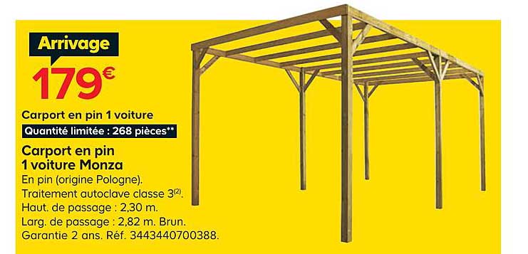 Carport En Pin 1 Voiture Monza