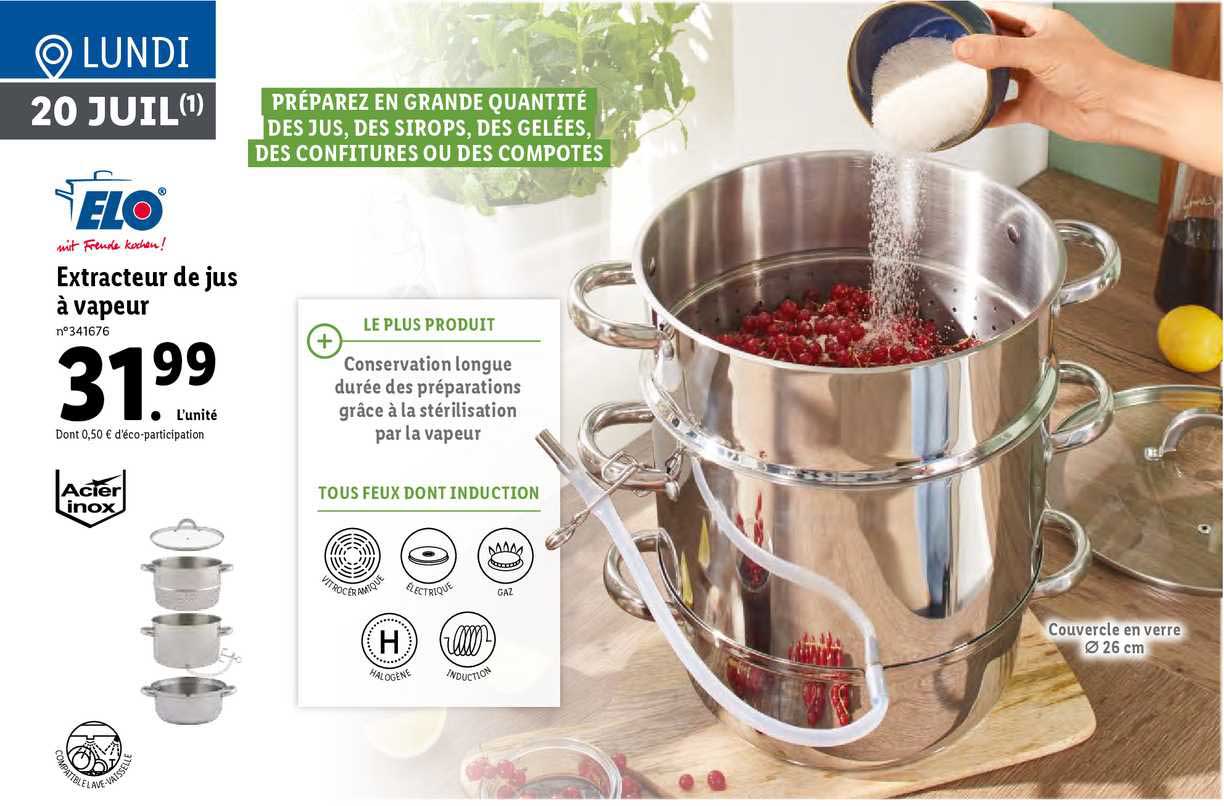 Extracteur De Jus à Vapeur