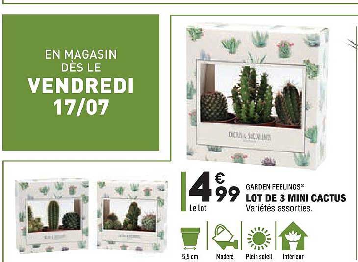 Lot De 3 Mini Cactus Garden Feelings