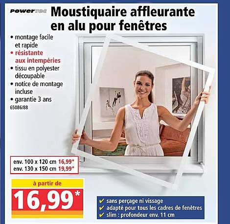 moustiquaire affleurante en alu pour fenêtres powertec
