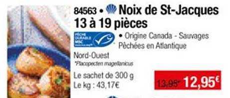 noix de st jacques 13 à 19 pièces