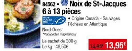 noix de st jacques 6 à 13 pièces