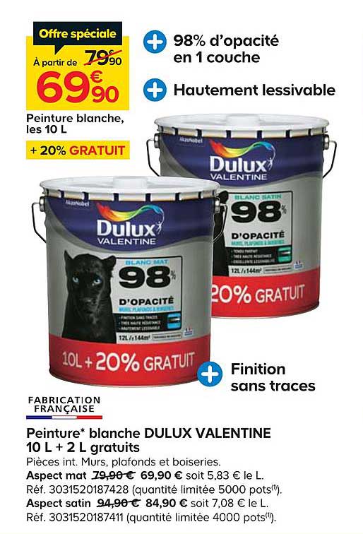Peinture Blanche Dulux Valentine 10 L + 2 L Gratuits