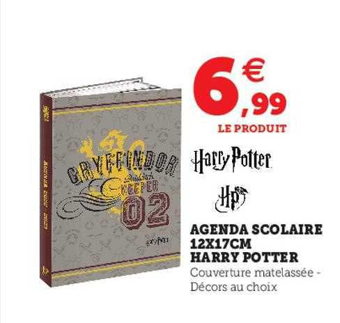 agenda scolaire 12 x 17 cm harry potter