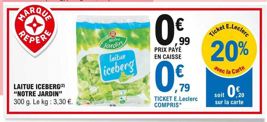 laitue iceberg "notre jardin"