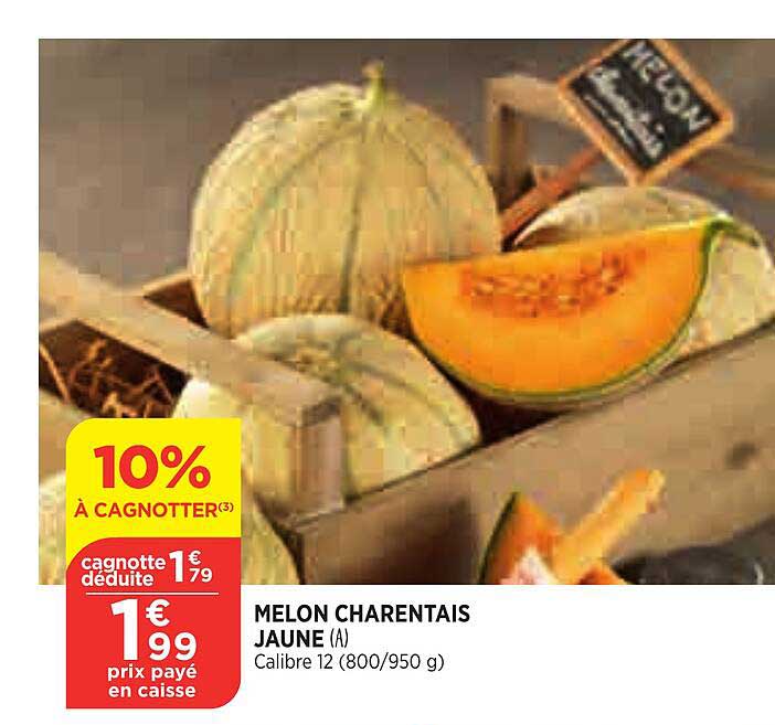 Melon Charentais Jaune