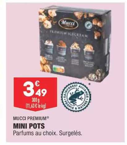 mucci premium mini pots