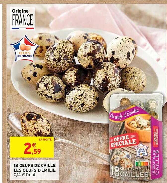 18 œufs De Caille Les œufs D'émilie