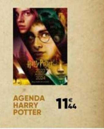 agenda harry potter