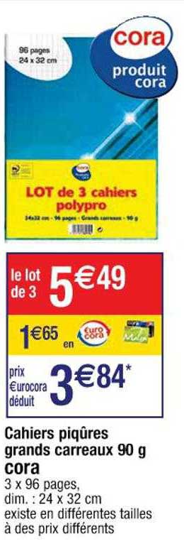 cahiers piqûres grands carreaux 90g cora