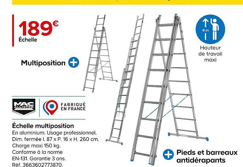 échelle multiposition mac allister