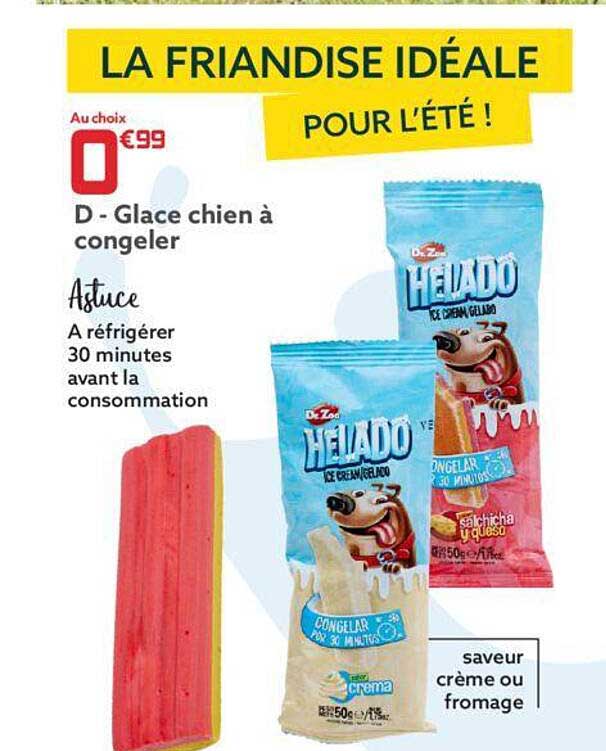 glace chien à congeler