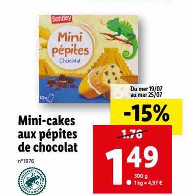 mini-cakes aux pépites de chocolat sondey