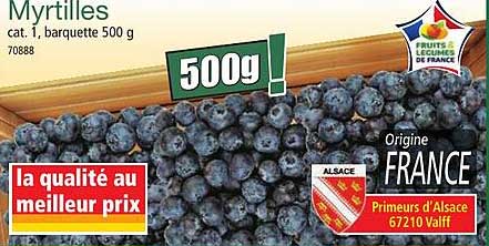 Myrtilles