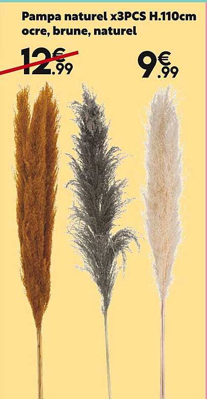 pampa naturel x3pcs h.110cm ocre, brune, naturel