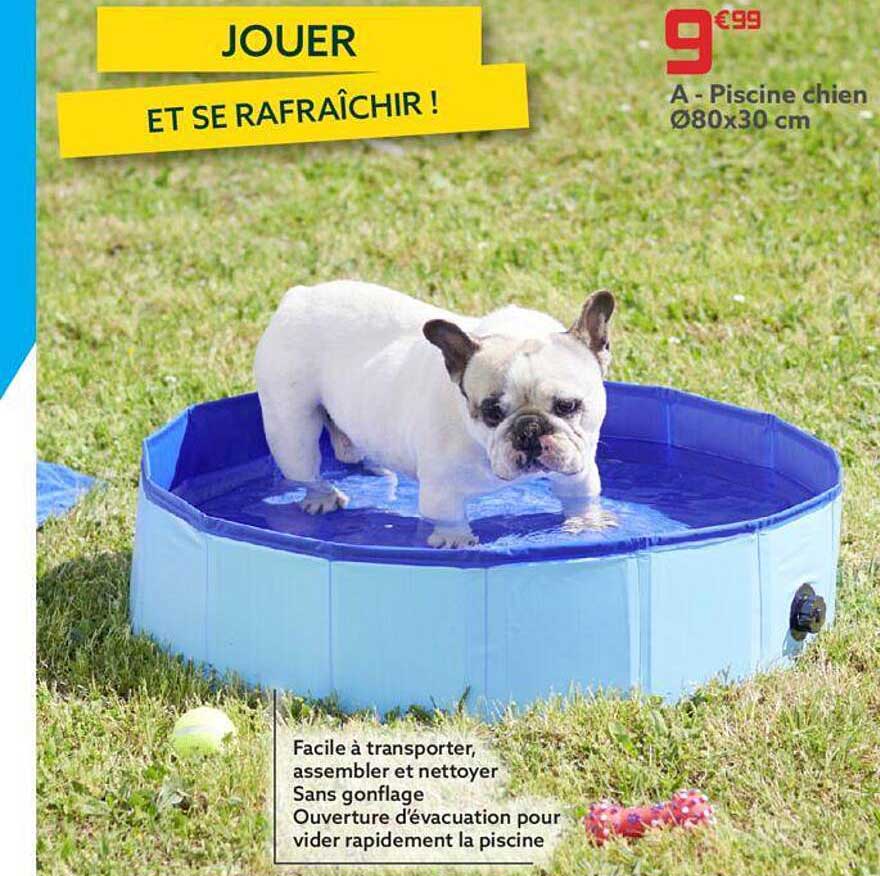 piscine chien ø80 x 30 cm