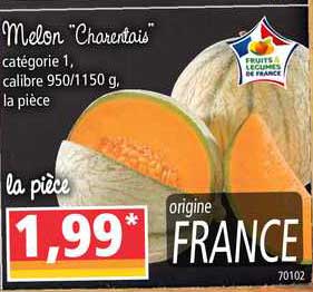 Melon Charentais