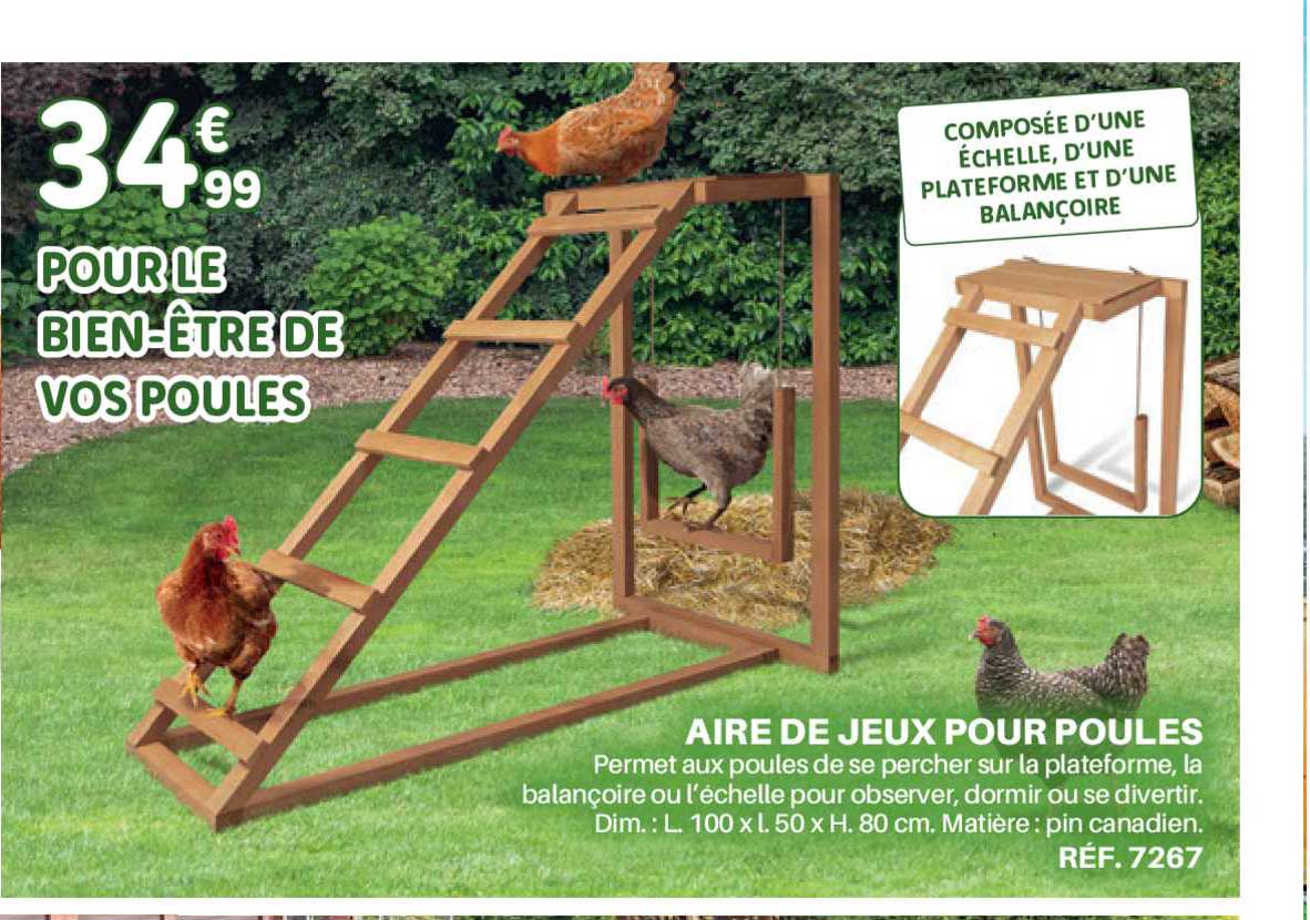 aire de jeux pour poules