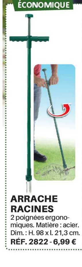Arrache Racines