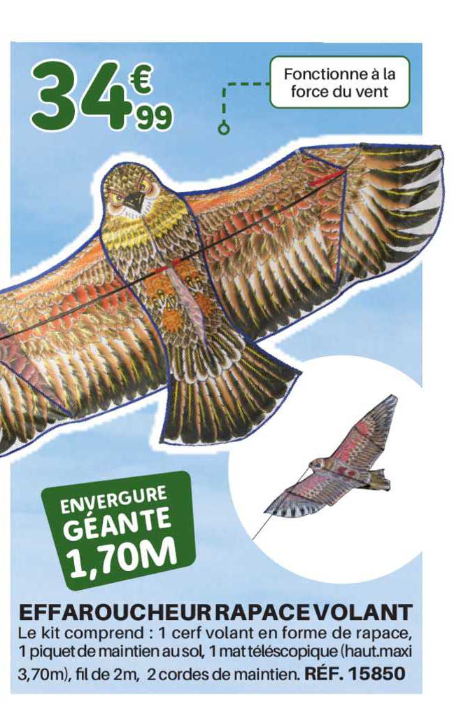 effaroucheur rapace volant