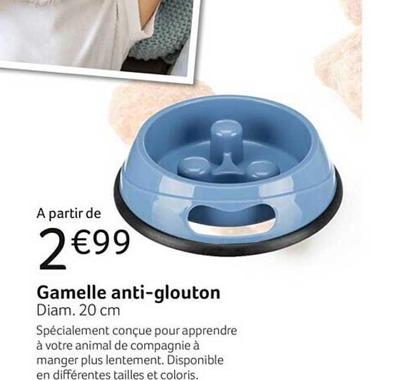 gamelle anti-glouton