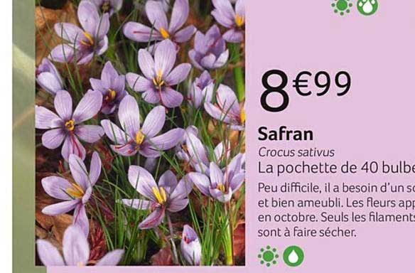 safran