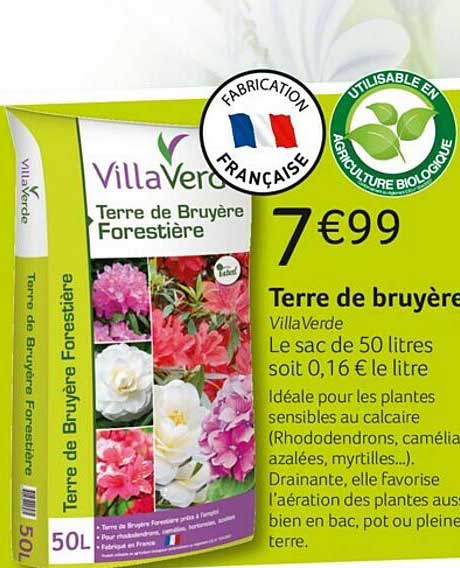 terre de bruyère villa verde