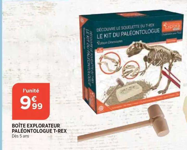 boîte explorateur paléontologue t-rex