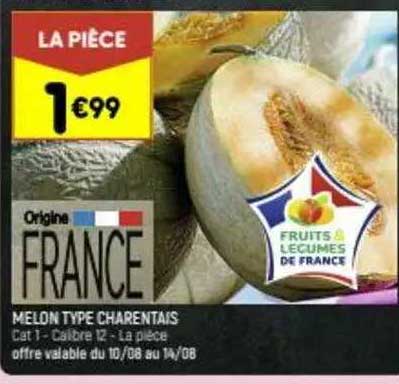 melon type charentais