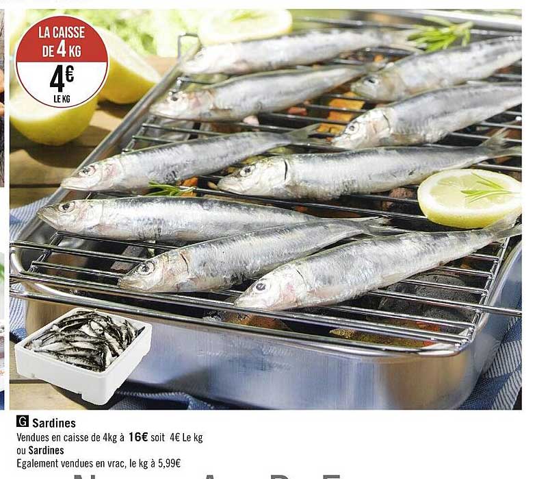 Sardines