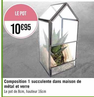 composition 1 succulente dans maison de métal et verre
