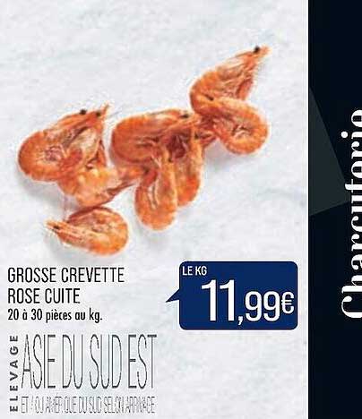 grosse crevette rose cuite