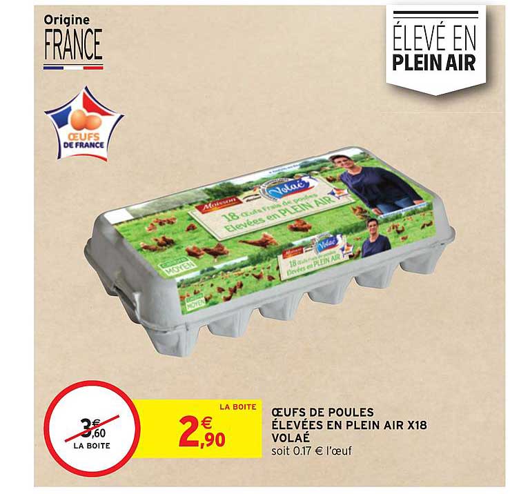 œufs de poules élevées en plein air x18 volaé