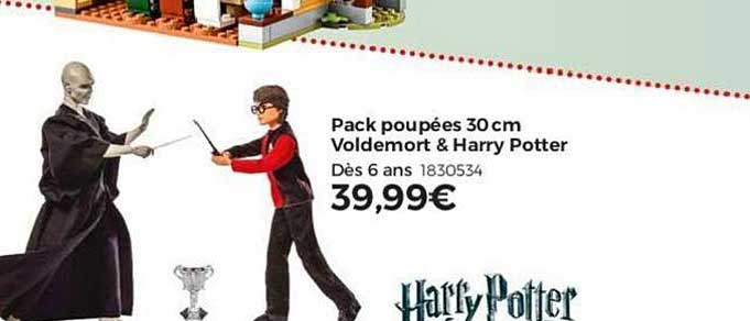 pack poupées 30 cm voldemort & harry potter