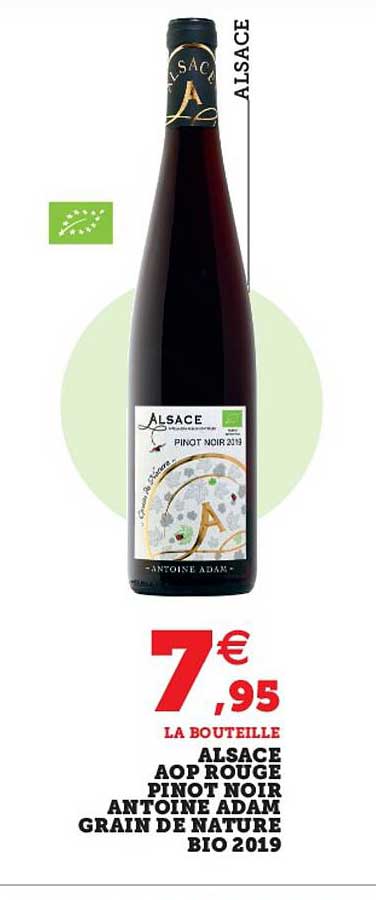 alsace aop rouge pinot noir antoine adam grain de nature bio 2019