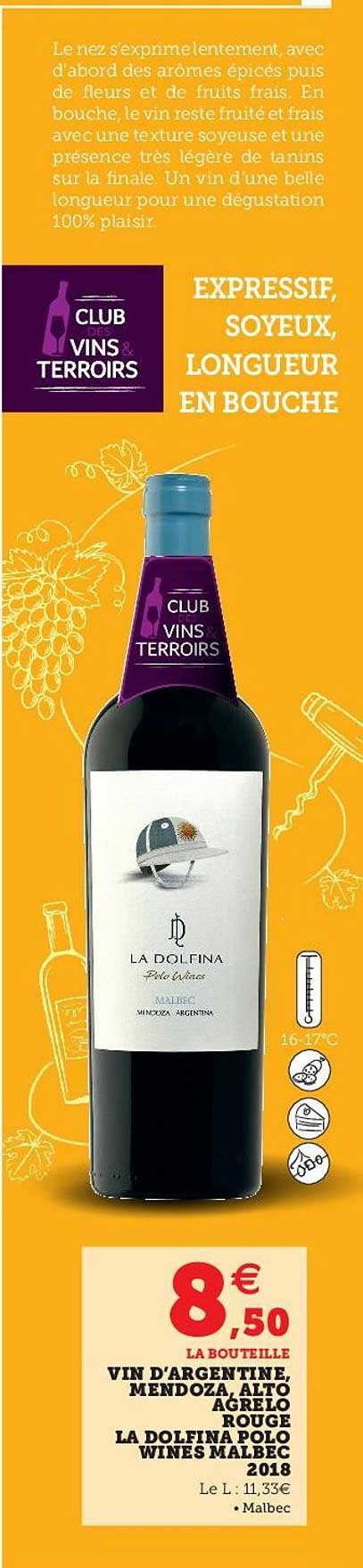 vin d'argentine, mendoza, alto agrelo rouge la dolfina polo wines malbec 2018