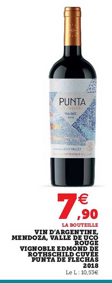 vin d'argentine, mendoza, valle de uco rouge vignoble edmont de rothschild cuvée punta de flechas 2018