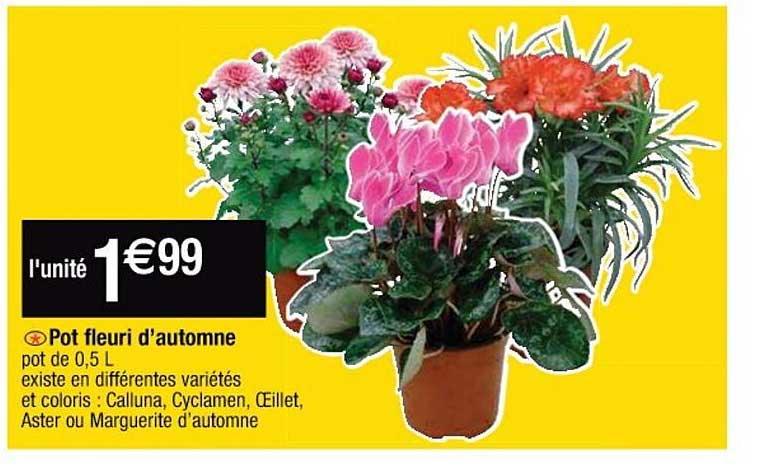 pot fleuri d'automne