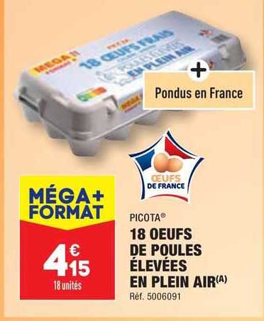 18 œufs de poules élevées en plein air picota