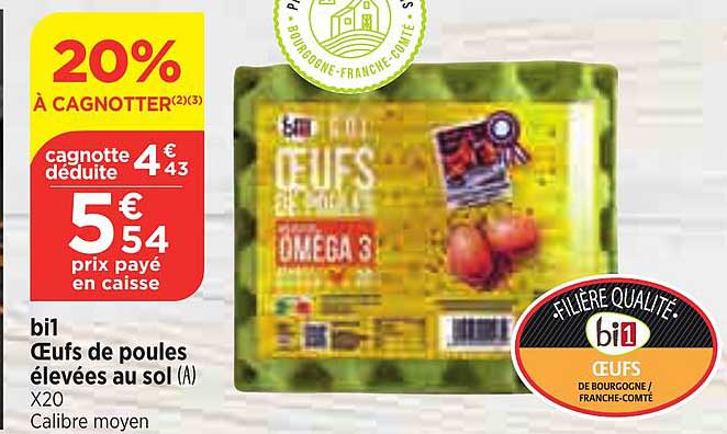 bi1 œufs de poules élevées au sol