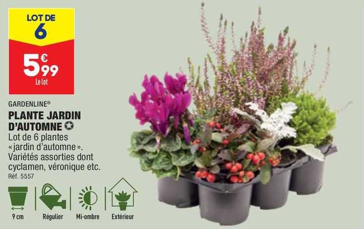 plante jardin d'automne gardenline