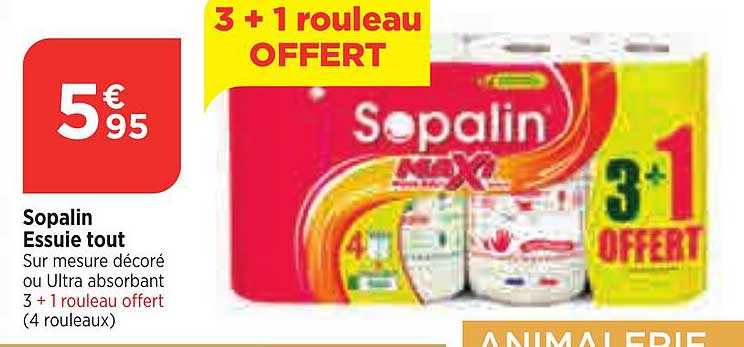 sopalin essuie tout