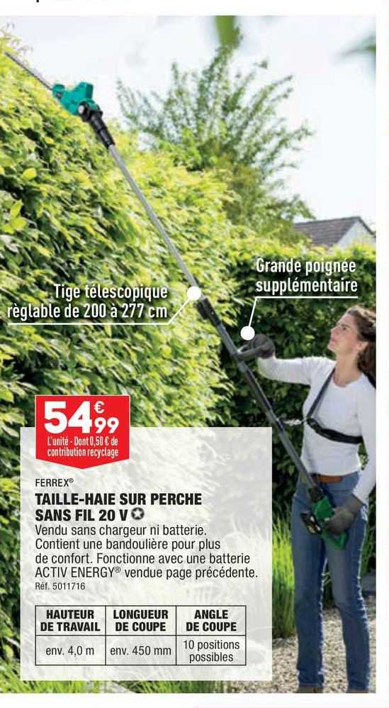 taille-haie sur perche sans fil 20 v ferrex