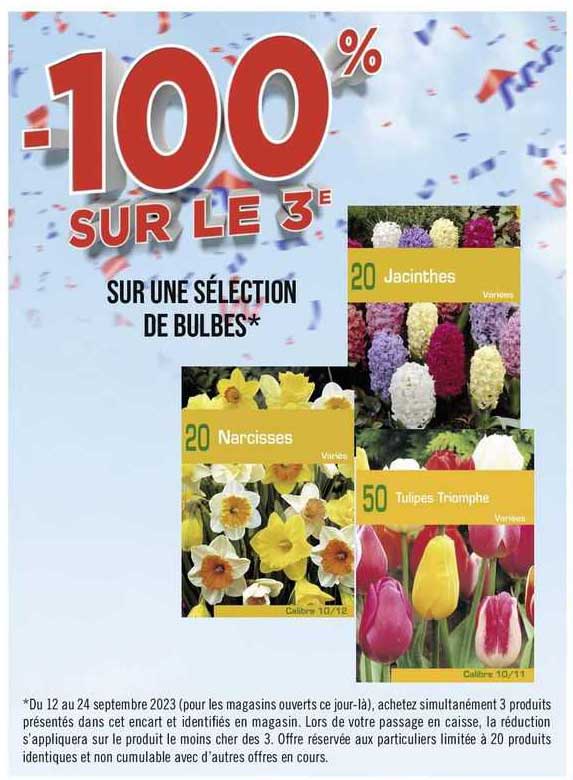 une sélection de bulbes