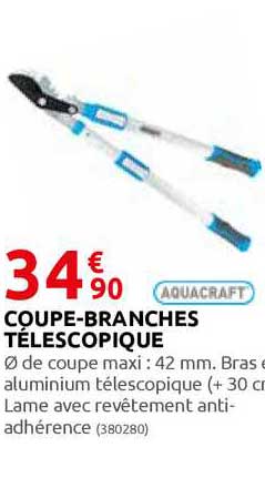 coupe-branches télescopique aquacraft