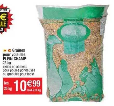 graines pour volailles plein champ