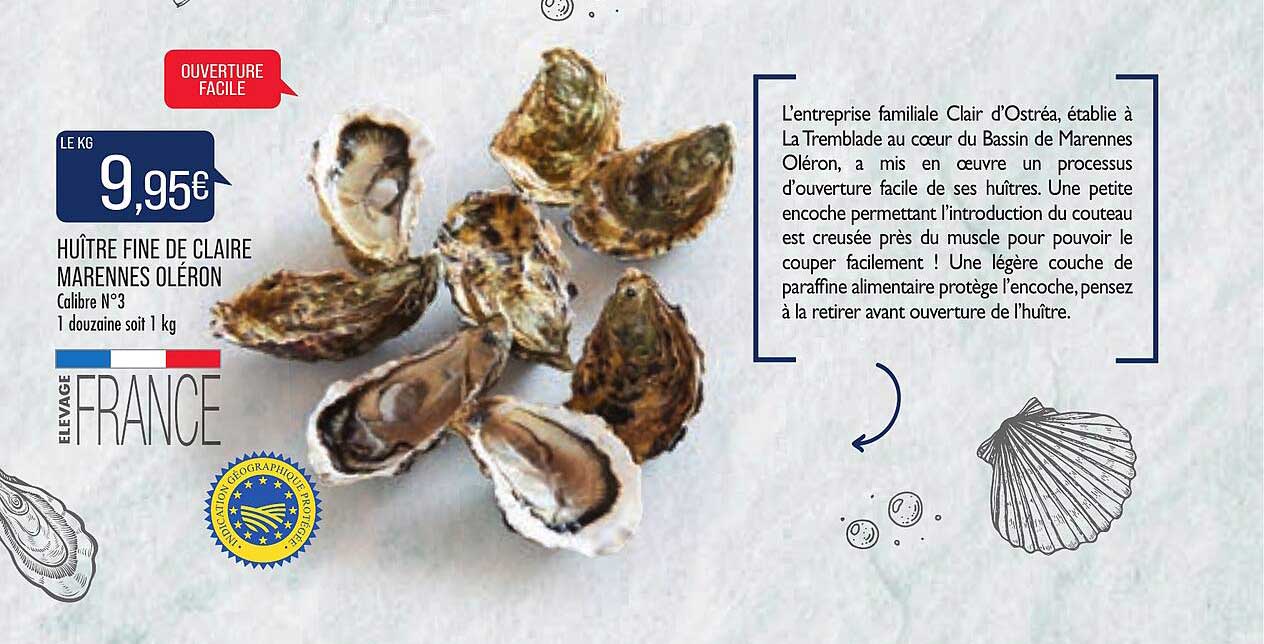 huître fine de claire marennes oléron