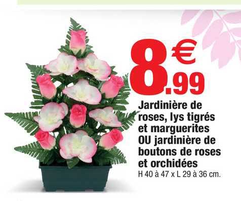 jardinière de roses lys tigrés et marguerites ou jardinière de boutons de roses et orchidées